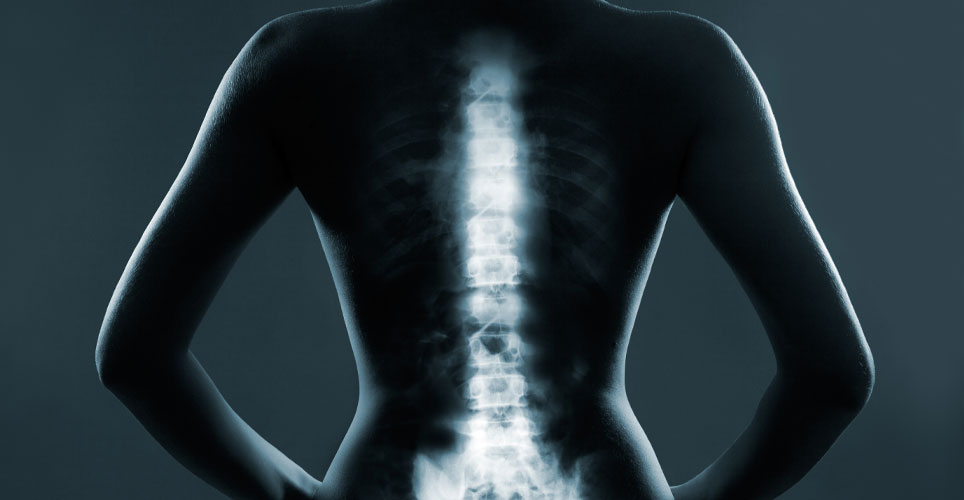 Why Posture Matters: The Hidden Health Risks of Poor Sitting Habits