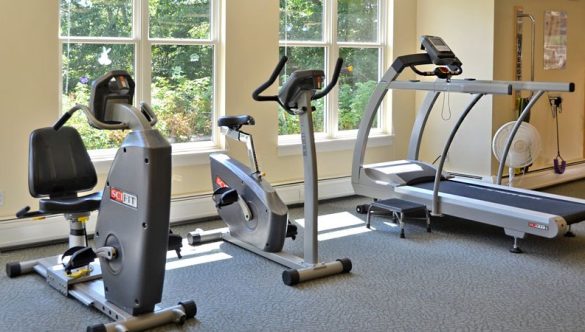 5 Common Conditions Physiotherapy Can Help Treat